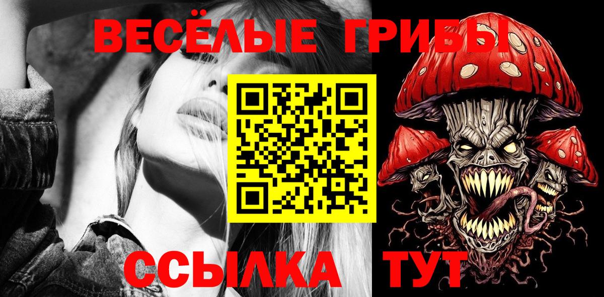 наркота  Галлюциногенные грибы мицелий  Сальск  Вход с VPN  Галлюциногенные грибы прущие грибы 